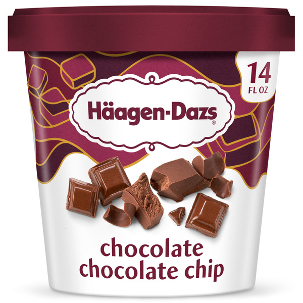 Haagen Dazs Chocolate Chocolate Chip Ice Cream, 14 Oz. | Hy-Vee