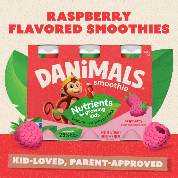Danimals Raspberry Kids Low Fat Yogurt Smoothies, 3.1 fl. oz. (6 pack ...