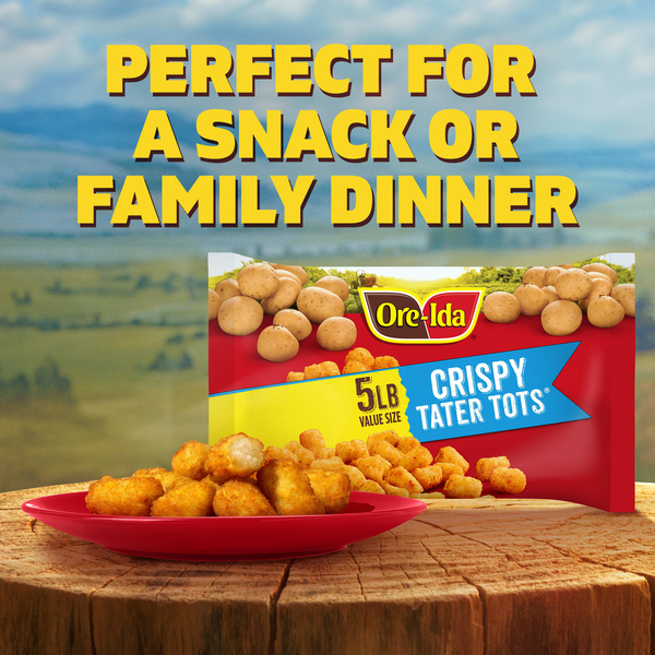 Ore-Ida Tater Tots Core Frozen Potatoes 5 lb | Hy-Vee Aisles