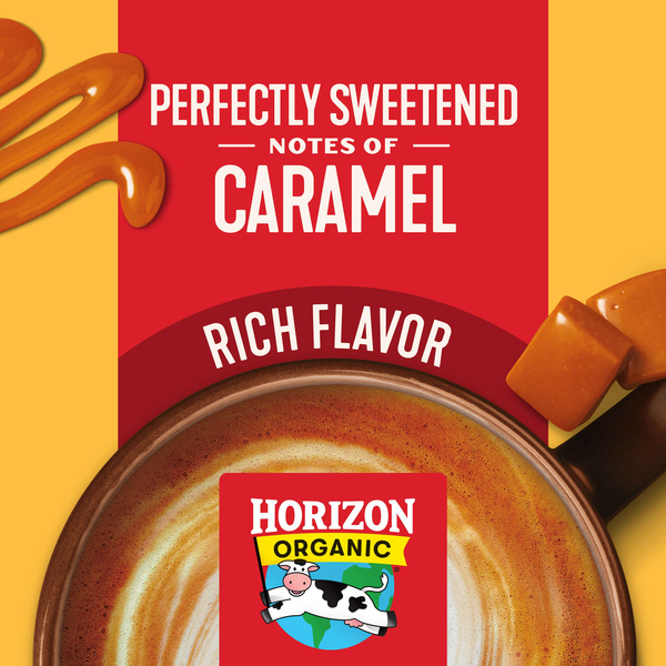 Horizon Organic Real Dairy Golden Caramel Coffee Creamer, 24 fl oz