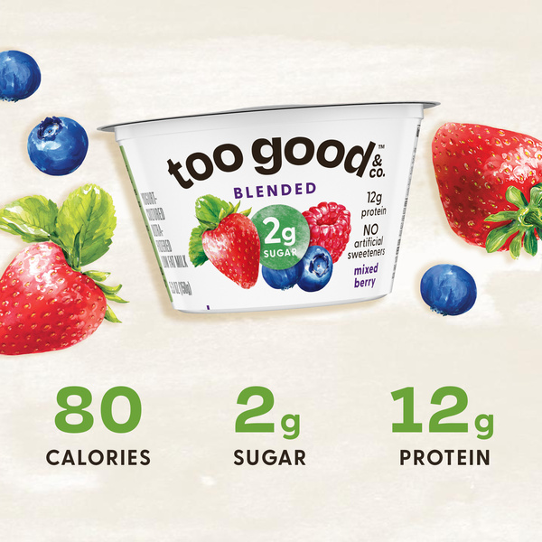 Too Good & Co. Blended Mixed Berry Yogurt-Cultured Ultra-Filtered