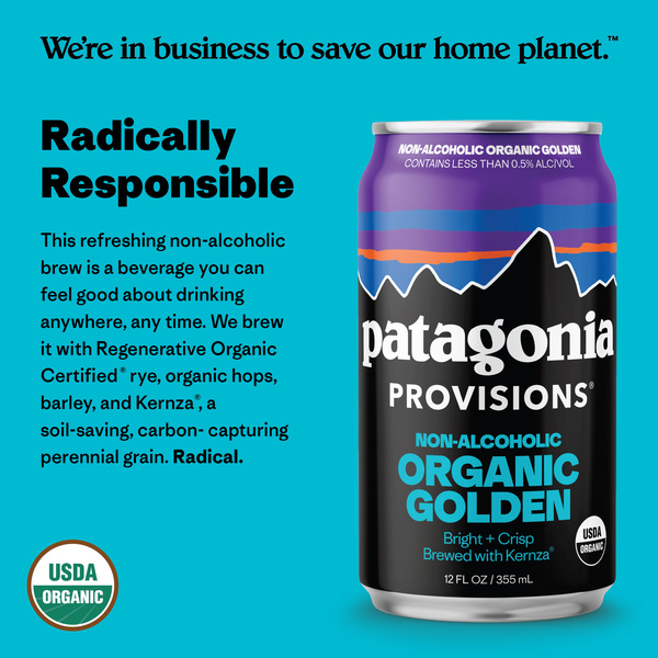 Patagonia Provisions Non-Alcoholic Organic Golden 6/12oz Can | Hy