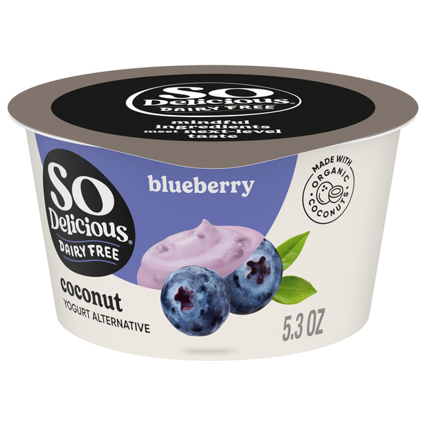 So Delicious Dairy Free Vegan Blueberry Coconut Milk Yogurt, 5.3