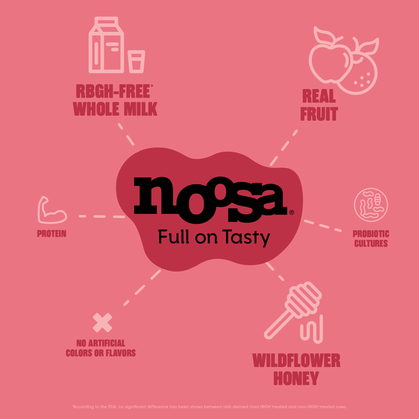 Noosa Strawberry Rhubarb Yoghurt, 8 oz | Hy-Vee Aisles Online