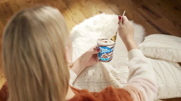 Blue Bunny Soft Mint Chocolate Frozen Dessert, 16 fl oz Pint | Hy