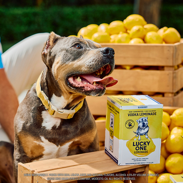 Lucky One Vodka Lemonade Blueberry 4 Pack 355ml Cans | Hy-Vee