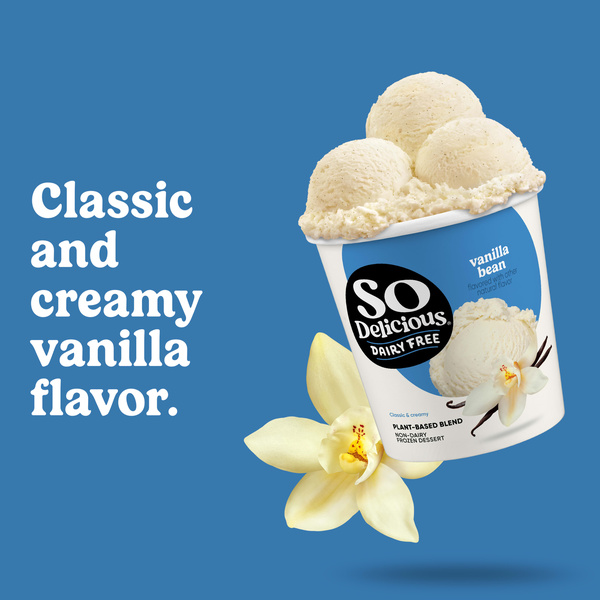 So Delicious Dairy Free Vegan Vanilla Frozen Dessert, 473 mL | Hy