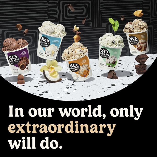 So Delicious Cashew Milk Dark Chocolate Truffle Non-Dairy Frozen